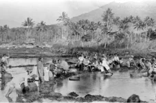 Tradisi ngabedahleun balong menjelang Lebaran di Garut, Jawa Barat tahun 1940 Foto: Nationaal Museum van Wereldculturen Belanda)