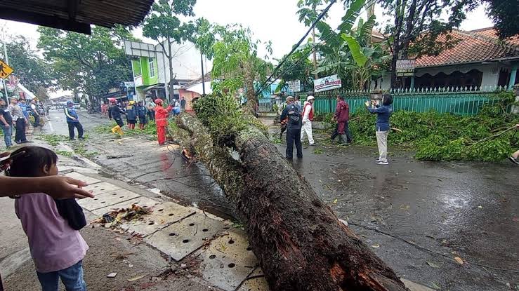 Pohon tumbang yang terjadi di Kota Cimahi pada Sabtu (9/11/2024)